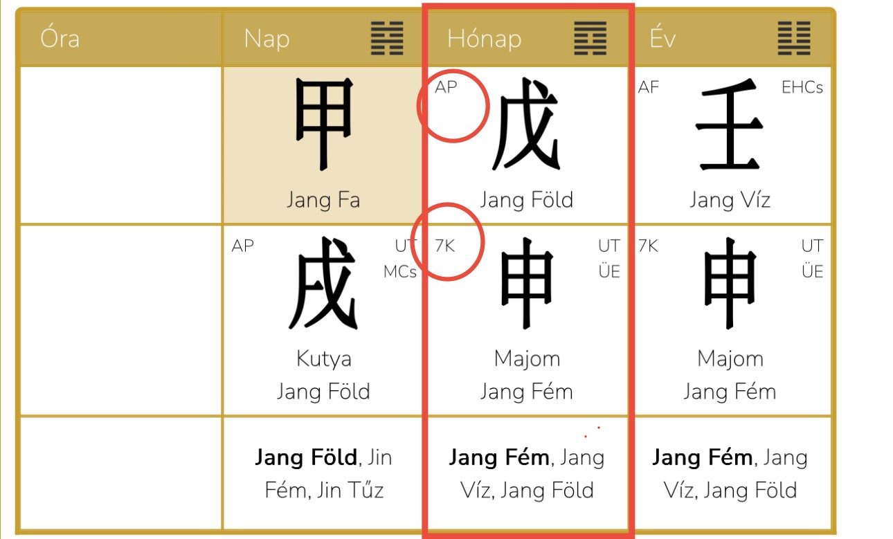 Steven Bartlett - The Diary of a CEO Podcastere életút elemzése - esettanulmány a Kínai Asztrológia önismereti rendszerével