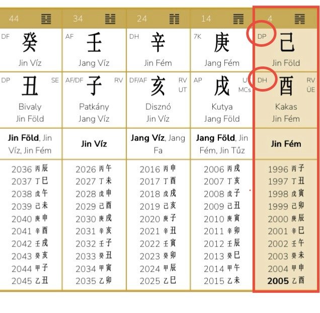 Steven Bartlett - The Diary of a CEO Podcastere életút elemzése - esettanulmány a Kínai Asztrológia önismereti rendszerével