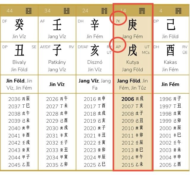 Steven Bartlett - The Diary of a CEO Podcastere életút elemzése - esettanulmány a Kínai Asztrológia önismereti rendszerével