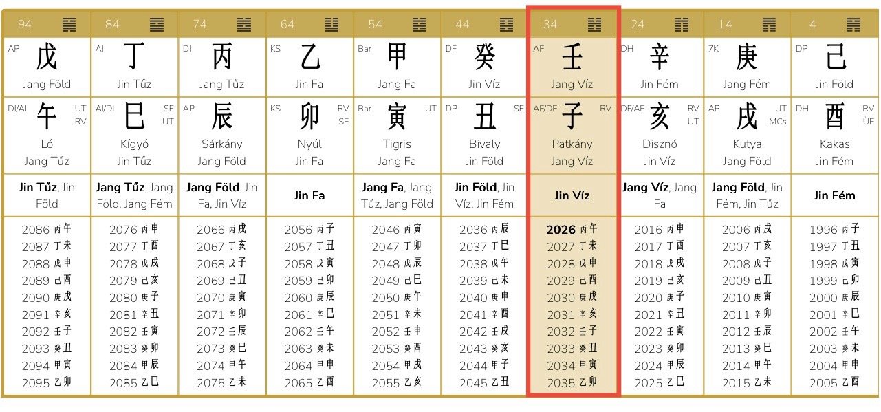 Steven Bartlett - The Diary of a CEO Podcastere életút elemzése - esettanulmány a Kínai Asztrológia önismereti rendszerével